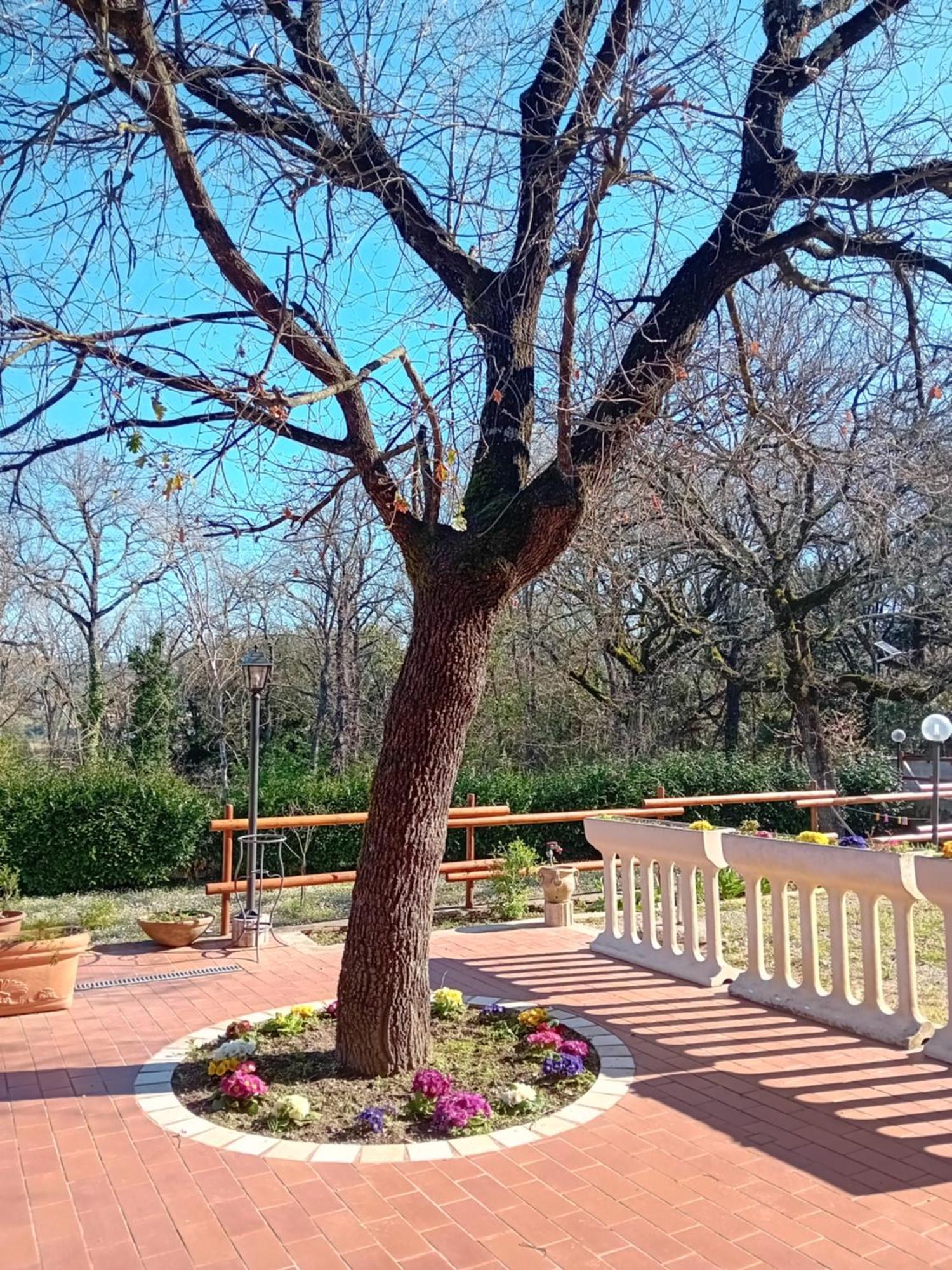 Boscodisotto Panzió Rapolano Terme Kültér fotó